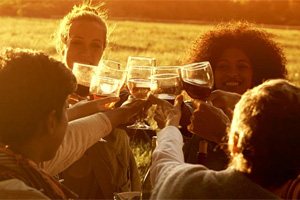 Distell is one of the suppliers of Citrusdal Cellars - get your favourite alcoholic brands from us.