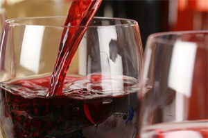 Du Toitskloof Wines is one of the suppliers of Citrusdal Cellars - get your most innovative wines from us.