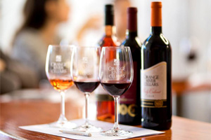 Orange River Cellars is one of the suppliers of Citrusdal Cellars - get some very special wine brands from us.