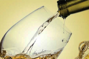 Robertson Wineries is one of the suppliers of Citrusdal Cellars - get a range of wines of origin from us.