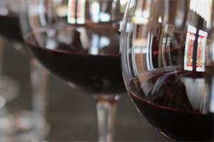 Skywalker Vineyards is one of the wine suppliers of Citrusdal Cellars - get access to wines from all over from us.